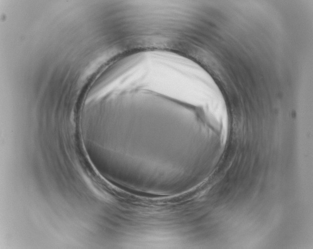 X0000088220674200706051323