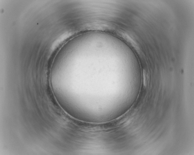 X0000088220675200706051323