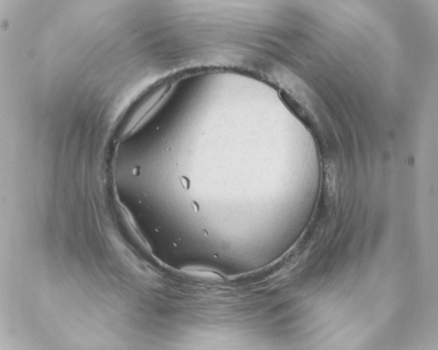 X0000088220676200706051323