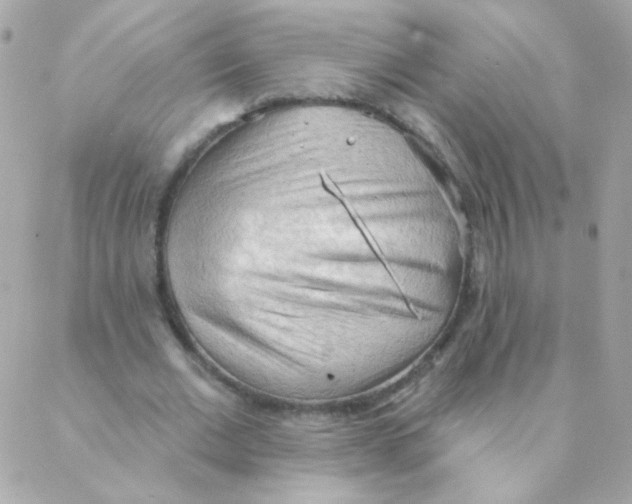 X0000088220677200706051323