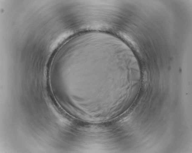 X0000088220678200706051323