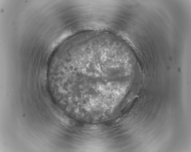 X0000088220679200706051323