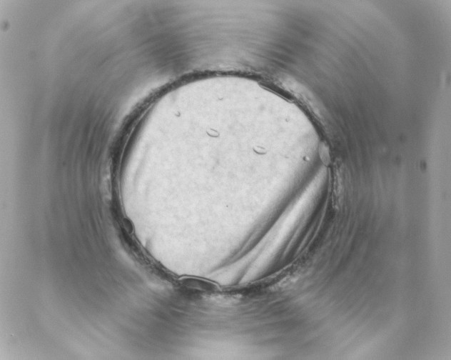 X0000088220680200706051323