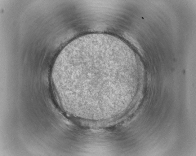 X0000088220681200706051323