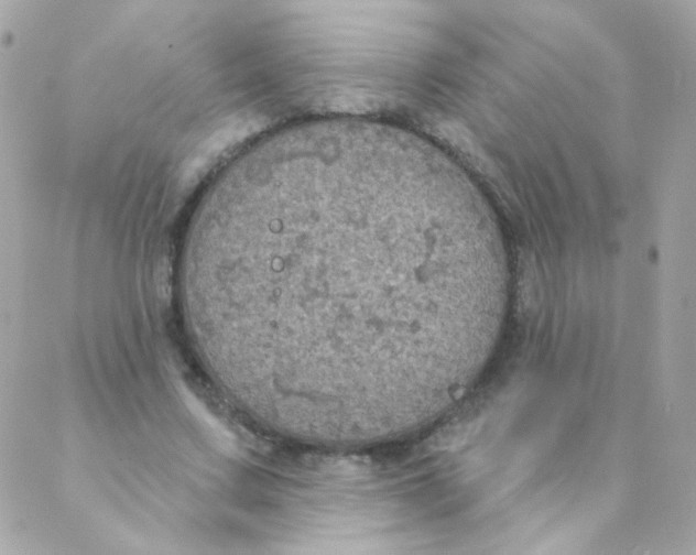 X0000088220683200706051323