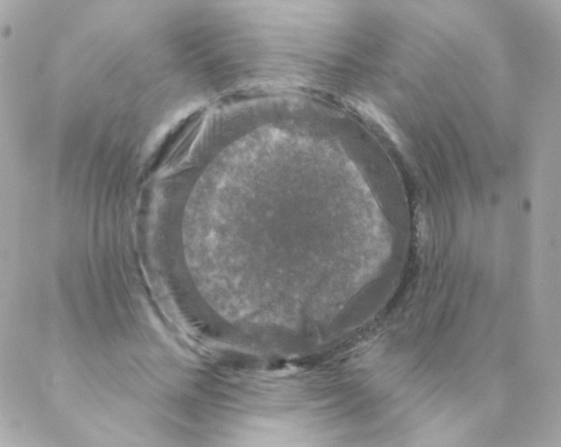 X0000088220684200706051323