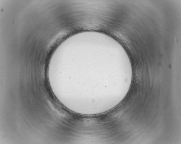 X0000088220686200706051323