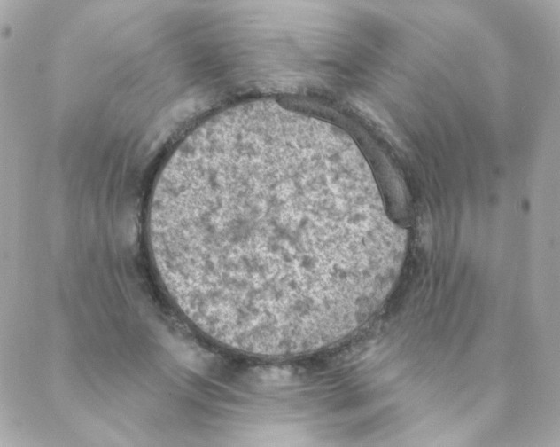 X0000088220687200706051323