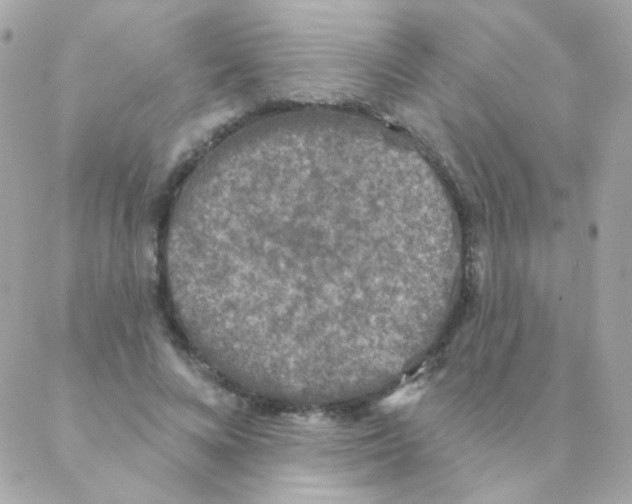 X0000088220688200706051323