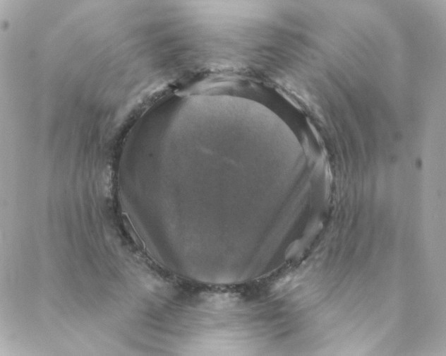 X0000088220689200706051323