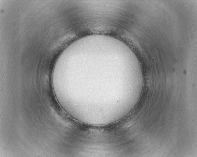 X0000088220690200706051323