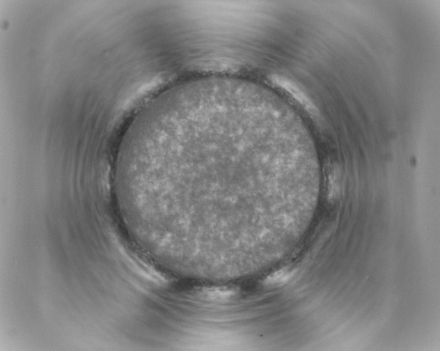 X0000088220692200706051323