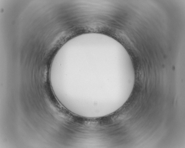 X0000088220694200706051323