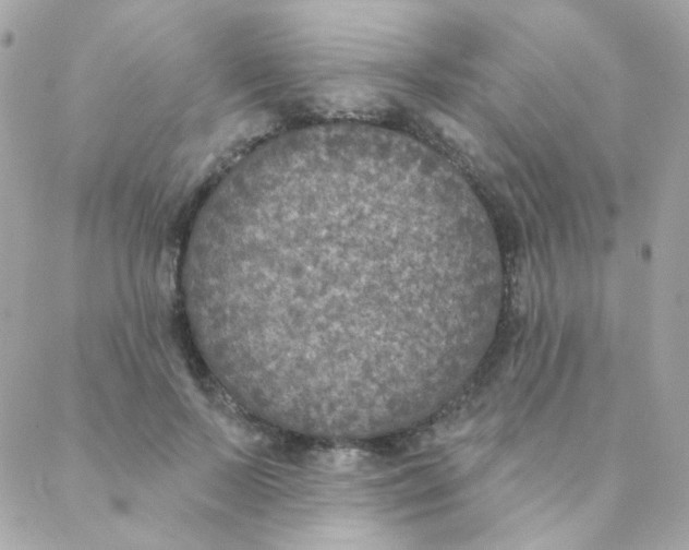 X0000088220695200706051323