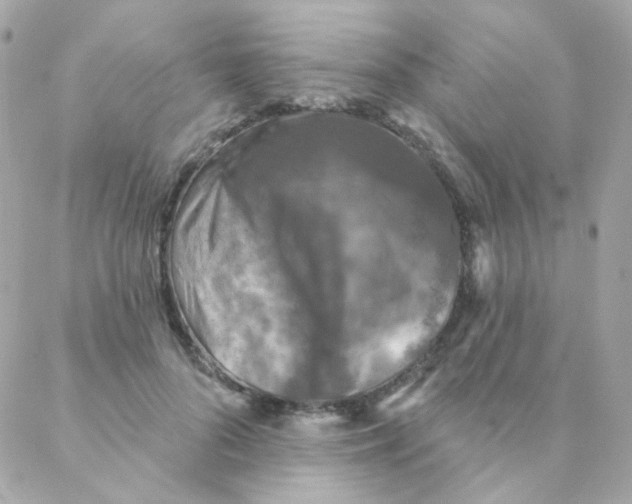 X0000088220696200706051323