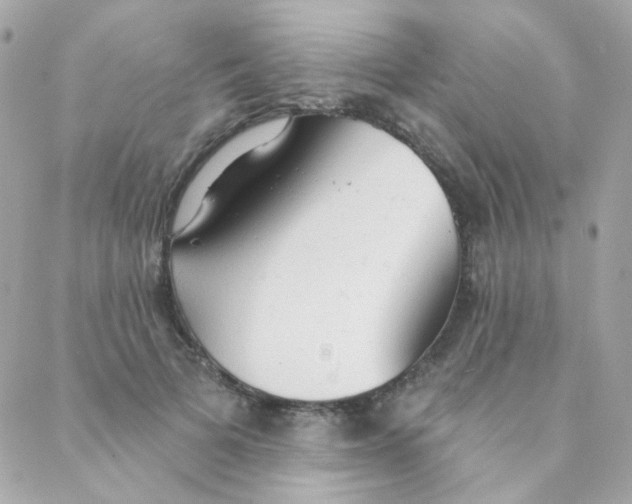 X0000088220697200706051323