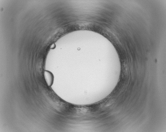 X0000088220698200706051323