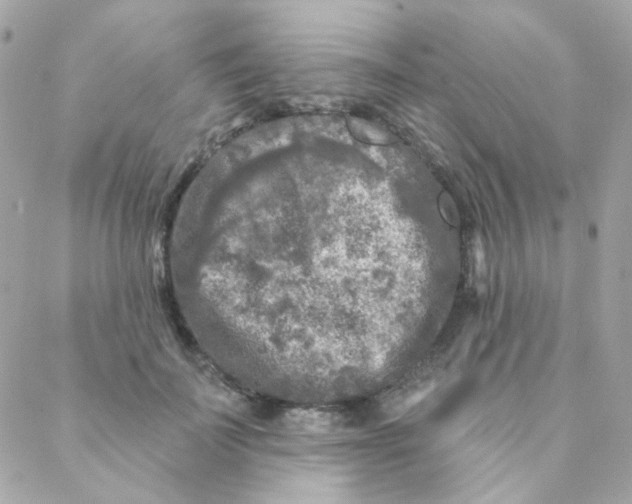 X0000088220699200706051323