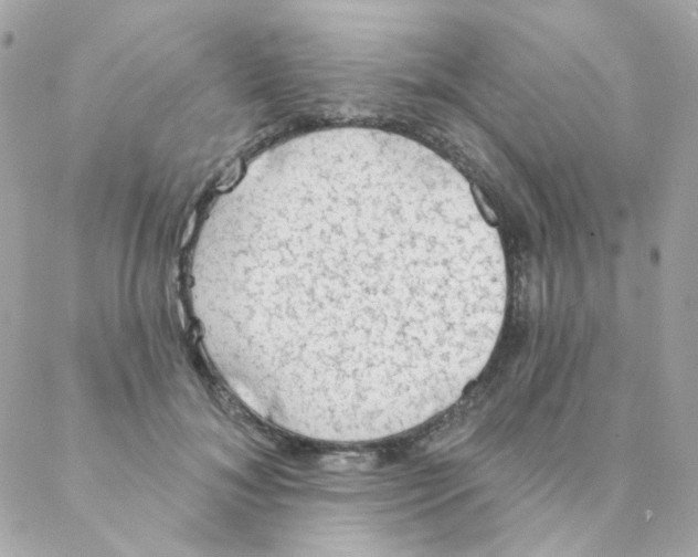 X0000088220700200706051323