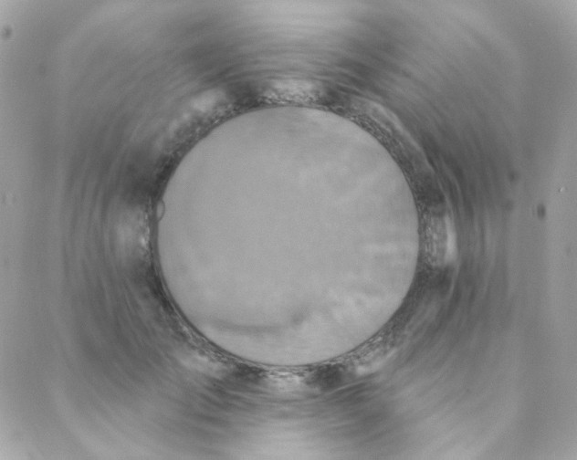 X0000088220701200706051323