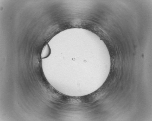 X0000088220702200706051323