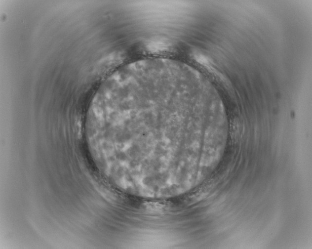 X0000088220703200706051323