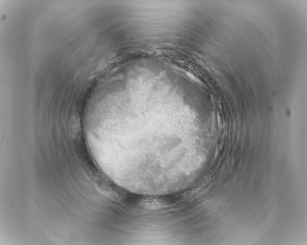 X0000088220704200706051323