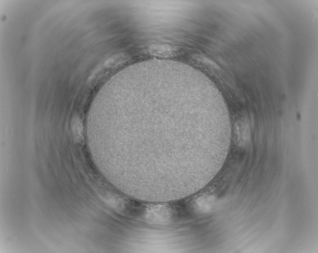 X0000088220705200706051323