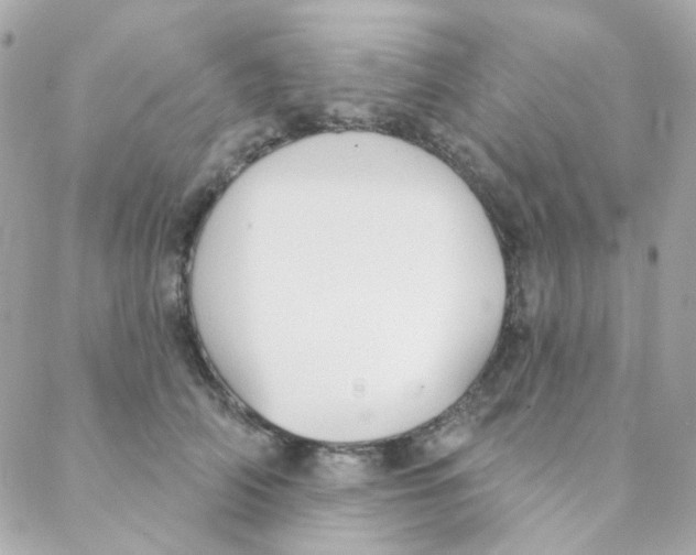 X0000088220706200706051323