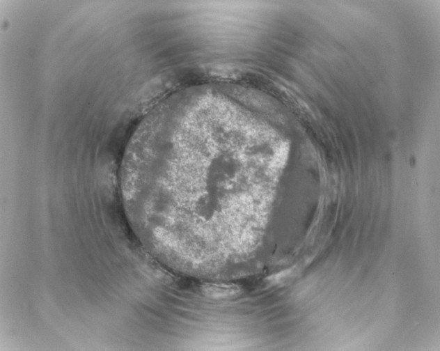 X0000088220707200706051323