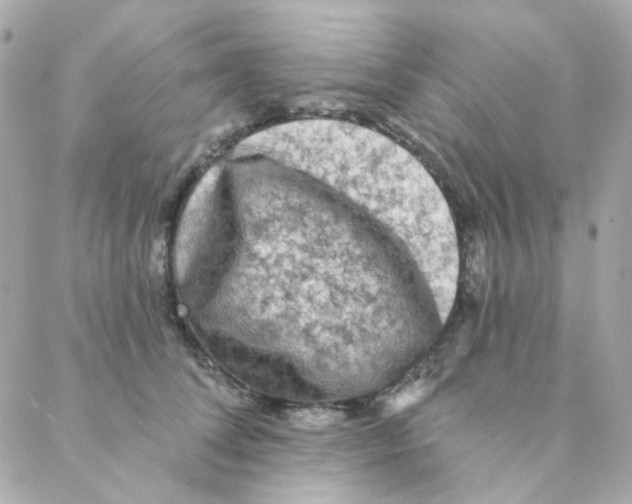 X0000088220708200706051323