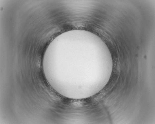 X0000088220710200706051323