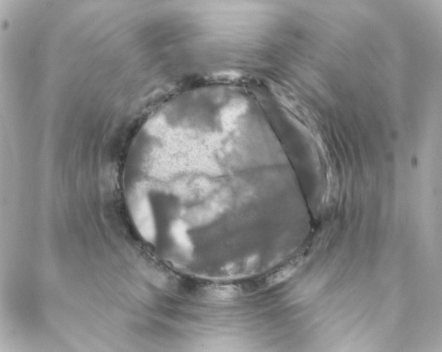 X0000088220711200706051322