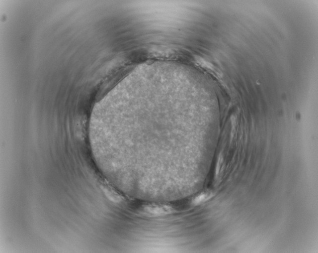 X0000088220712200706051322