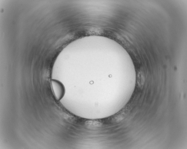 X0000088220714200706051322