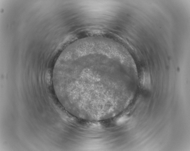 X0000088220715200706051322