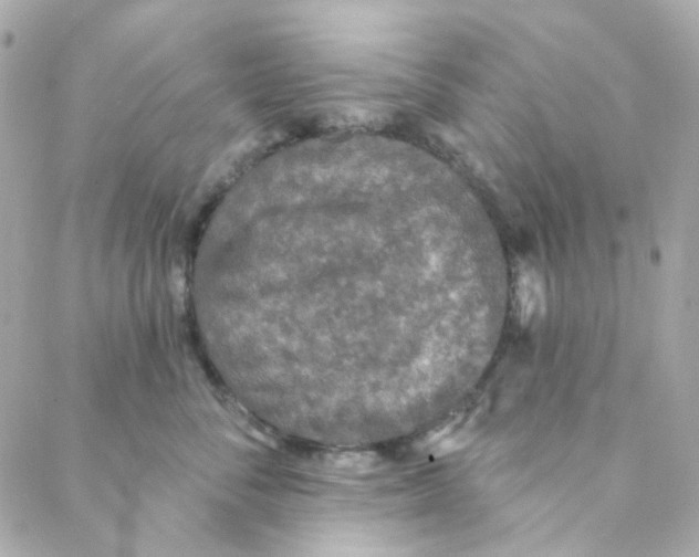 X0000088220716200706051322