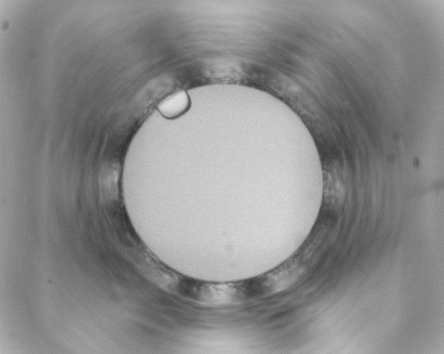 X0000088220717200706051322