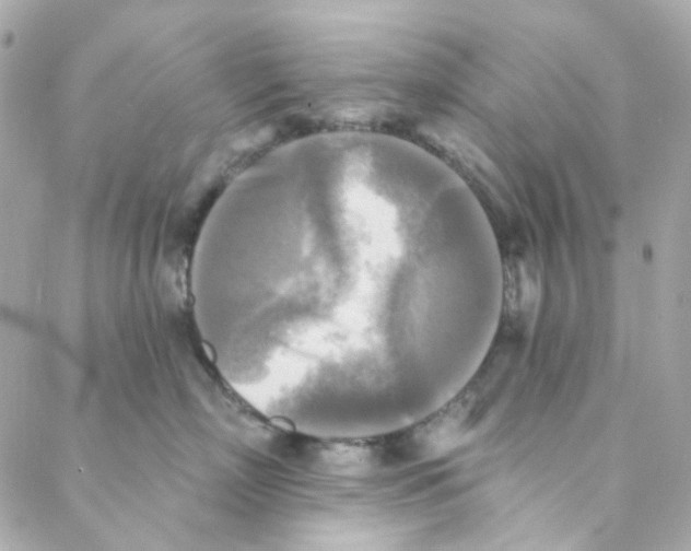 X0000088220718200706051322