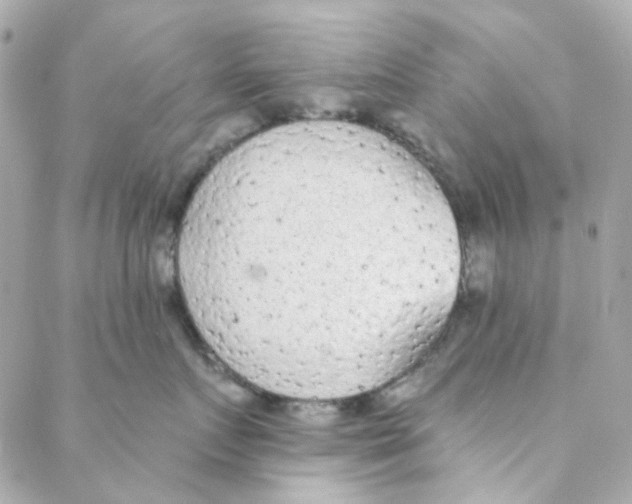 X0000088220719200706051322