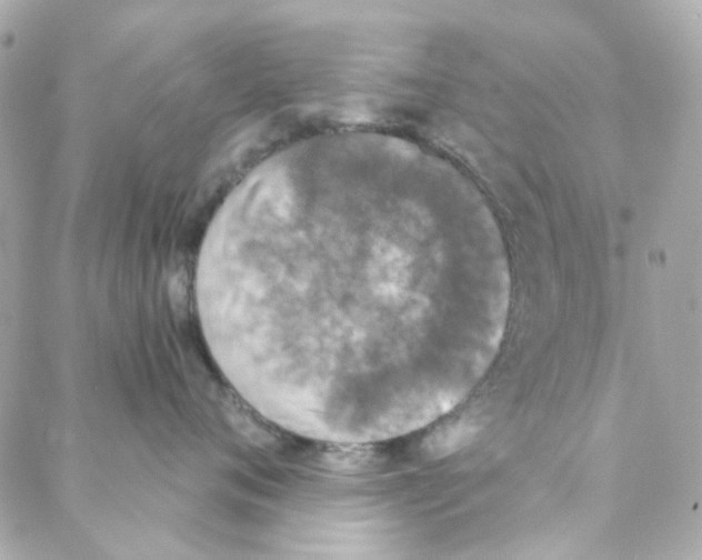 X0000088220720200706051322