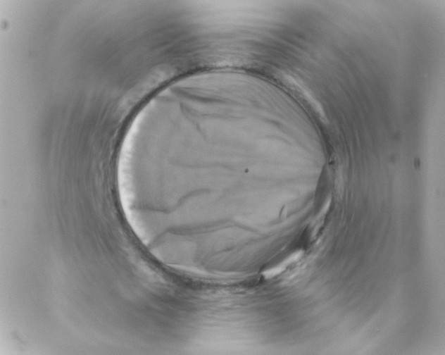 X0000088220721200706051322