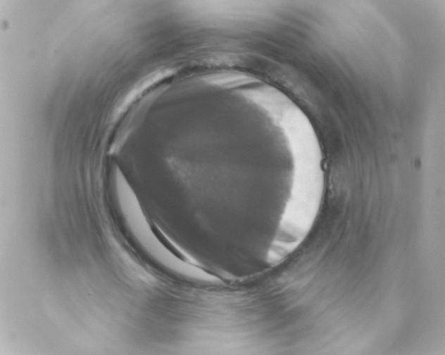 X0000088220722200706051322