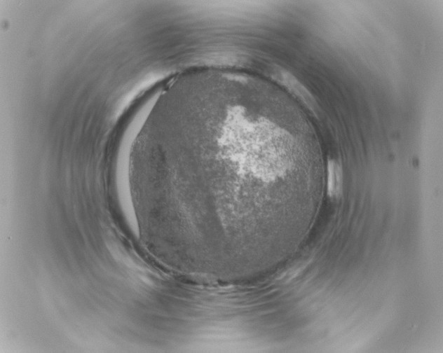 X0000088220723200706051322