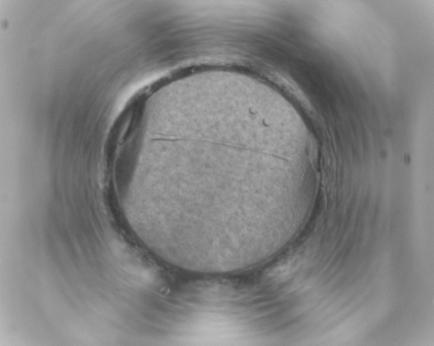 X0000088220724200706051322