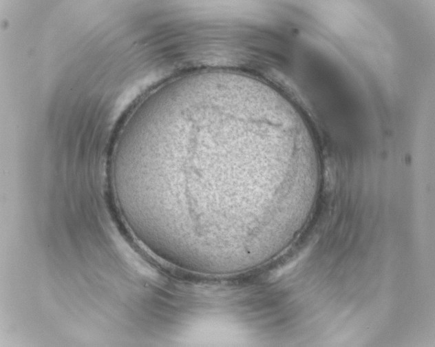 X0000088220725200706051322