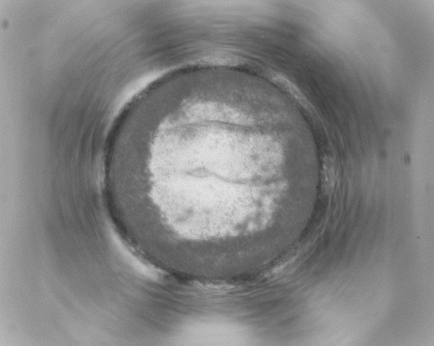 X0000088220726200706051322