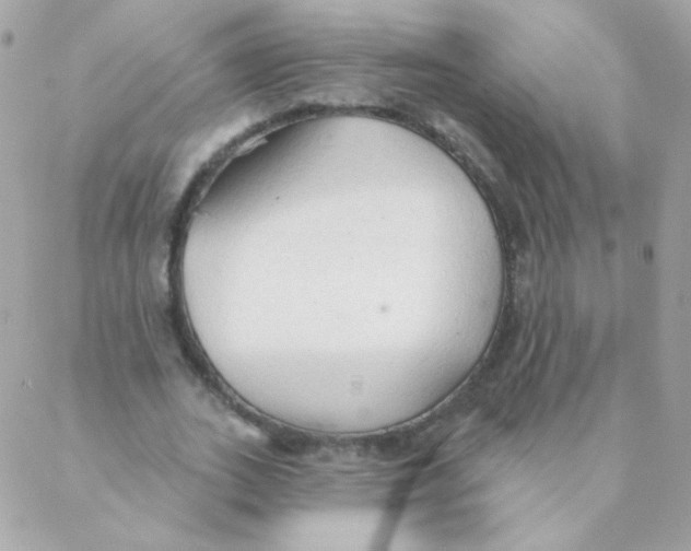 X0000088220727200706051322