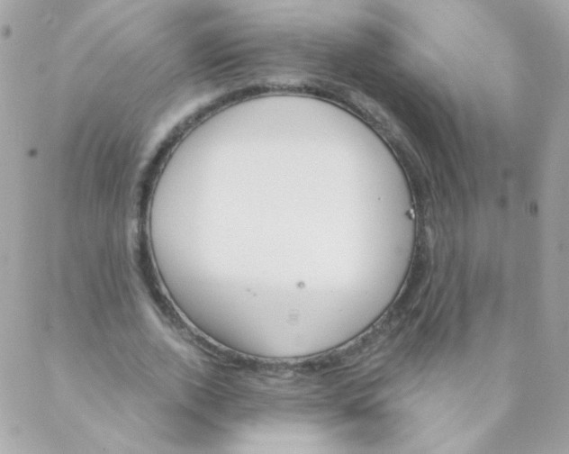 X0000088220728200706051322