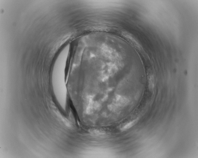 X0000088220729200706051322